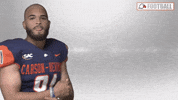 Cnfb GIF by Carson-Newman Athletics