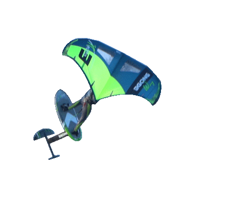 Wing Flying Sticker by GONG GALAXY