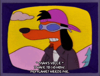 season 8 scratch GIF