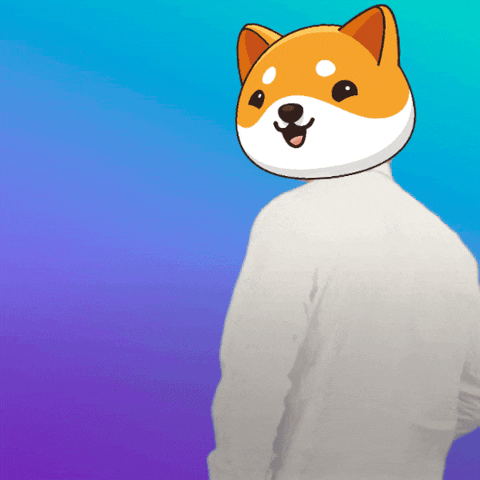 Money Crypto GIF by Baby Doge Coin