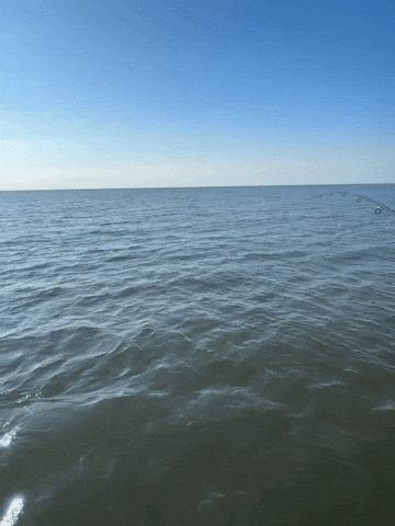 bradleyrise giphyupload GIF