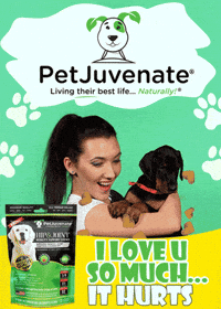Miss You Funny Dog GIF by PetJuvenate - PJ