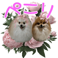 M M 犬 Sticker