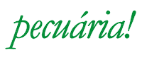 Casale Brasil Sticker by Casale
