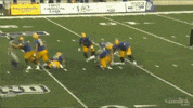 Sack GIF by ACU Football