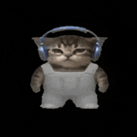 Cat Rocking Out GIF by POST-WEB