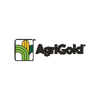Agriculture Corn Sticker by AgriGold