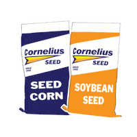 Corn Seed Sticker by marketing_cornelius