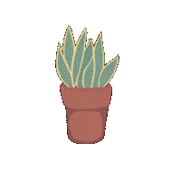 Ivonne_Rode green plant houseplant pflanze Sticker