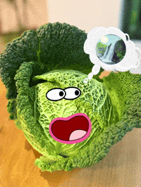 Waterfall Cabbage GIF