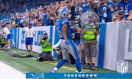 Detroit Lions Football GIF by NFL