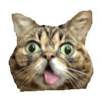 lulz STICKER by imoji