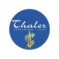 Thaler Sticker by Thaler_Rebschule