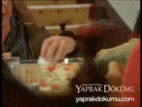 Yd Espri GIF by Yaprak Dökümü