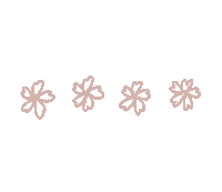花 Cherry Blossom Sticker