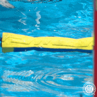 Water Swimming GIF by American Kennel Club