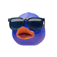 HTD_Health sunglasses duck quack htd Sticker