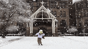 seton hill griffins GIF by Seton Hill University