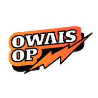 Scout Fnatic Sticker by Loco