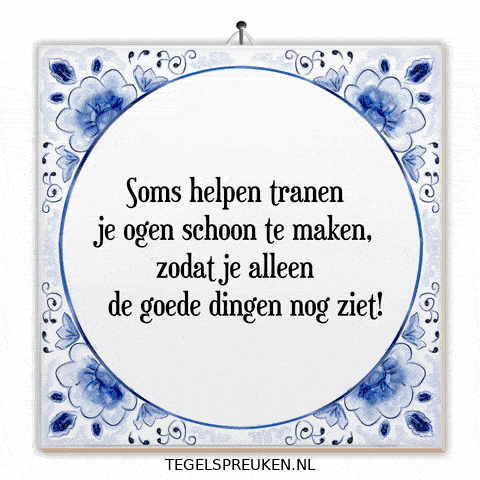 Humor Nl GIF by Tegelspreuken.nl