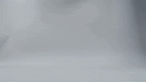 majorworld giphygifmaker GIF