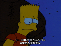 Season 1 GIF by The Simpsons