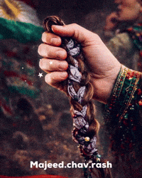 Kurdistan Kurd GIF
