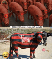 Dmk Ntk GIF