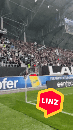 Bundesliga Fans GIF by Linz News