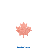Day Canada Sticker by Educational Insights