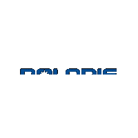 Brand Sticker by Polaris RZR