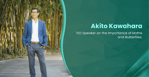 akitokawahara giphygifmaker giphyattribution GIF