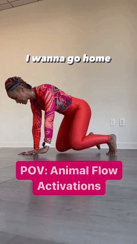 Warmup Animal Flow GIF by maeve40fitness