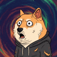 Shiba Inu Wow GIF by Doge Pound