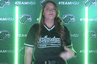 Softball GIF by RiverHawk Sports