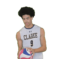 Clarke Pride Sticker by Clarke University