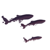 Sky Whales Sticker by Travel Oregon
