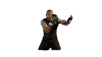 Roy Jones Jr Fighting Sticker by The Mack Talks