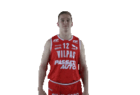 Basket_fi sports basketball hoops vikings Sticker