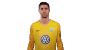 World Cup Football Sticker by VfL Wolfsburg