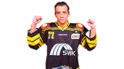 Celebration Del Sticker by Krefeld Pinguine