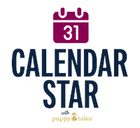 Save The Date Photography Sticker by puppytales