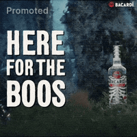 GIF by Bacardi