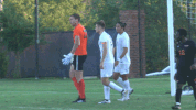 cnms18 twan verweij GIF by Carson-Newman Athletics