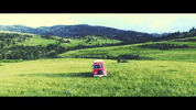 montana GIF