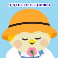 GIF by Finch Care