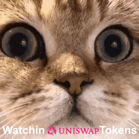 Cryptomkg GIF by :::Crypto Memes:::