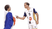 Volleyball Legrand Sticker by Reims Volley 51