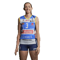 Courtney No Sticker by ImocoVolley