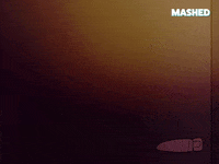 What The Hell Wtf GIF by Mashed